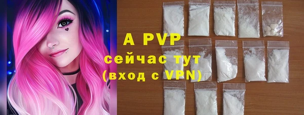стаф Белоозёрский