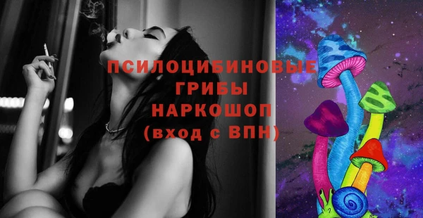 стаф Белоозёрский
