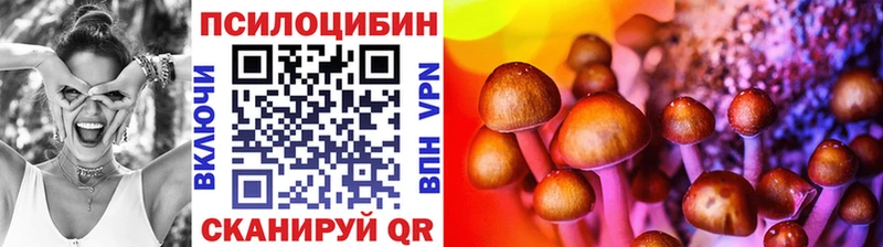 Галлюциногенные грибы Psilocybine cubensis  продажа наркотиков  Кодинск 